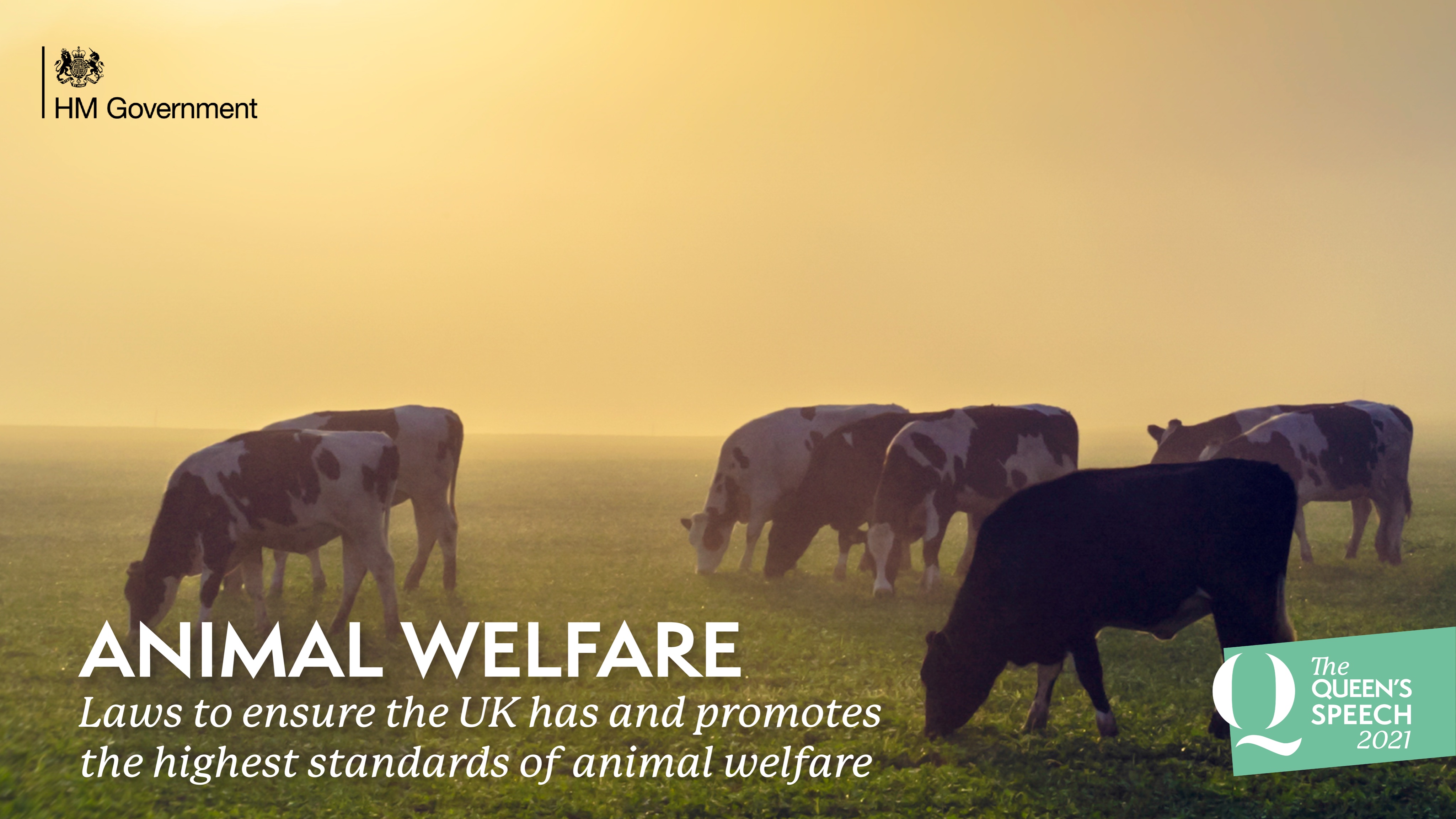 Queen's Speech - animal welfare