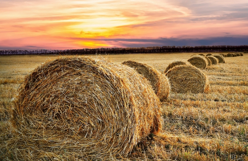 Agriculture Bill