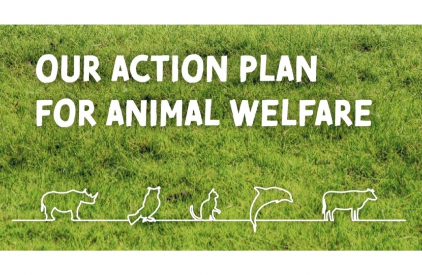 Our action plan for animal welfare