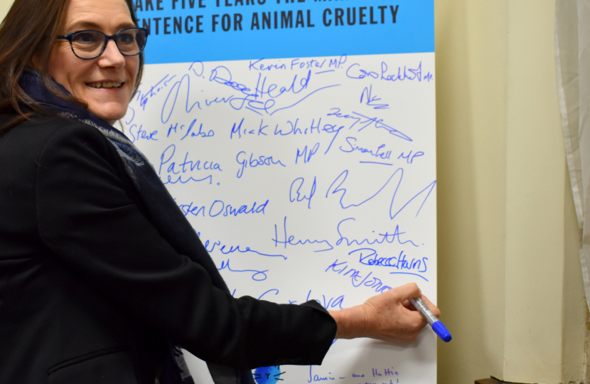 Animal Welfare