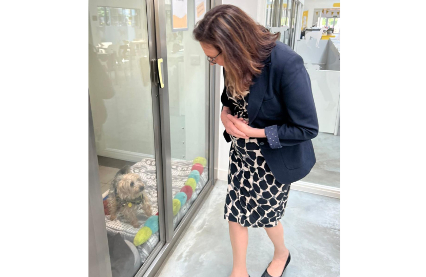 Rebecca meets sheltered puppy