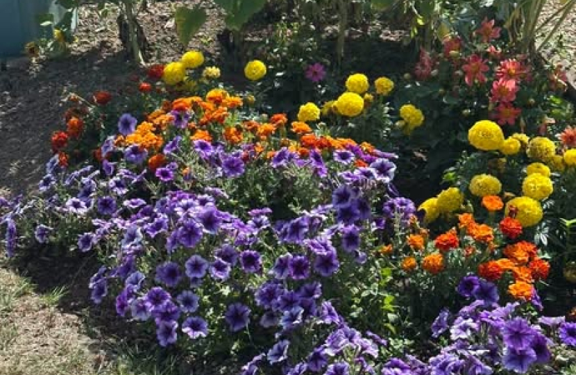 Hadleigh Allotment Society