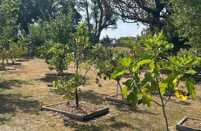 Hadleigh Allotment Society