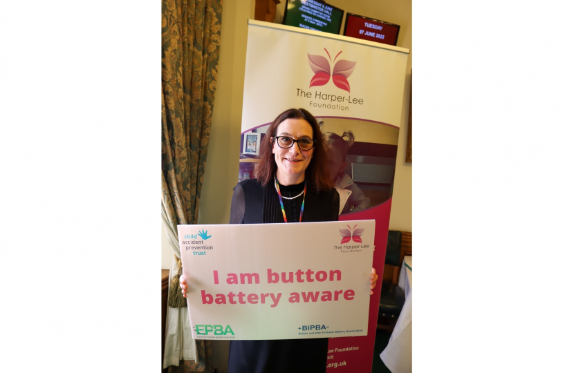 Rebecca button pledge