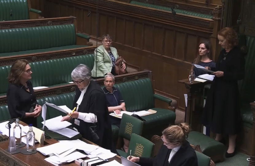 Rebecca reintroducing the Bill