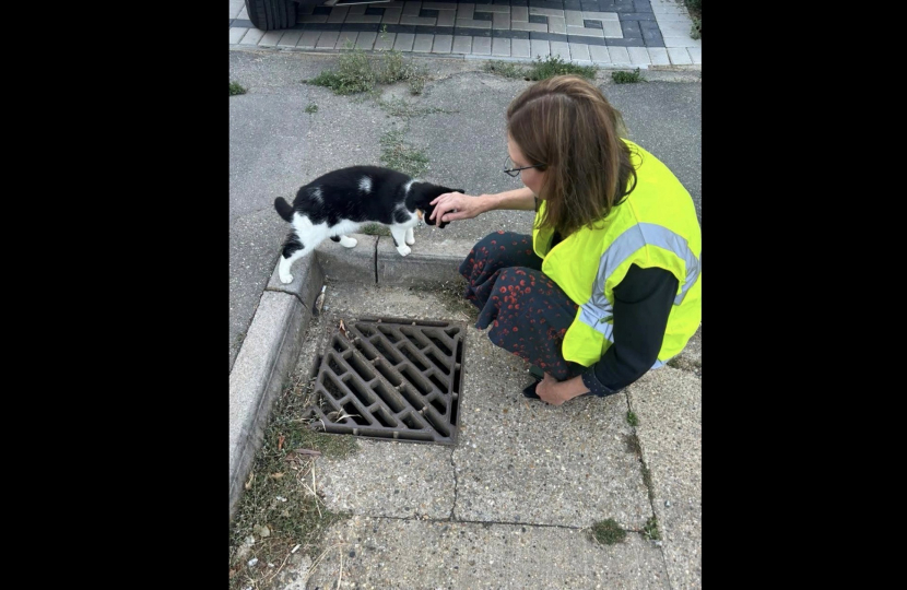 Rebecca and local cat inspecting the drains together