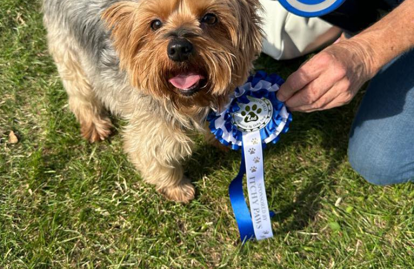 Hadleigh dog show