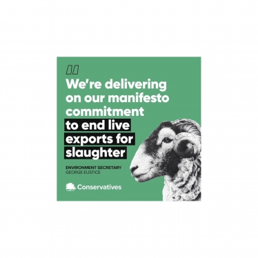 End Live Animal Exports