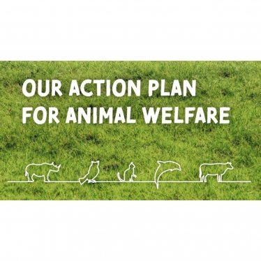 Our action plan for animal welfare