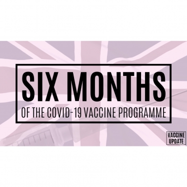 Six months of the vaccination programme