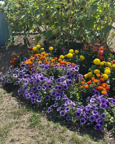 Hadleigh Allotment Society