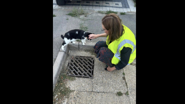 Rebecca and local cat inspecting the drains together